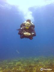 Frontier Tech Divers