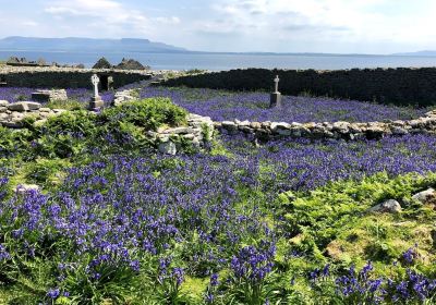 Rosses Point