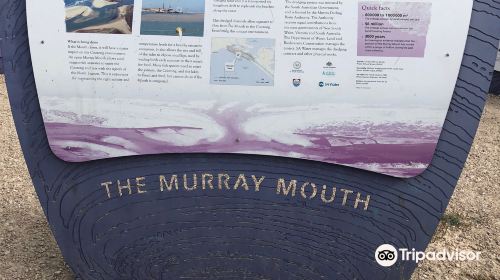 Murray Mouth