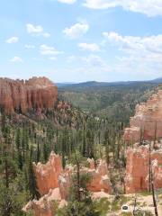 Swamp Canyon Overlook