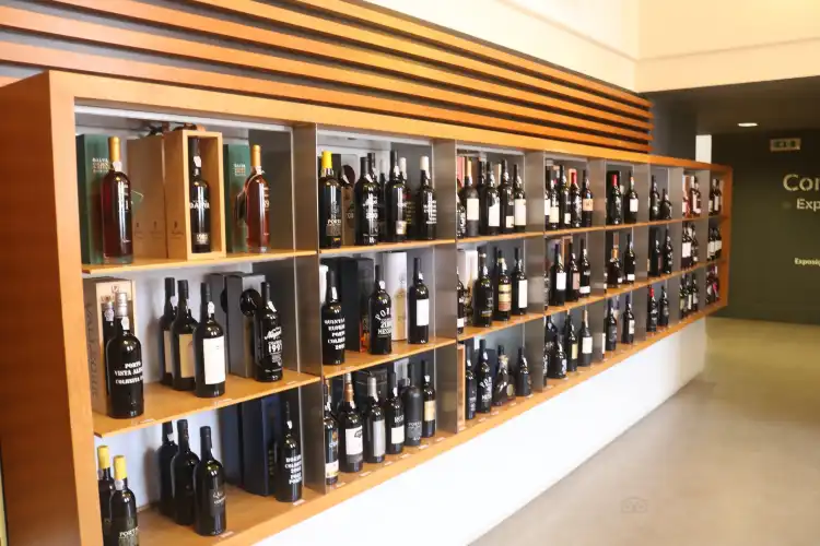 Các khách sạn gần Museu do Vinho do Porto