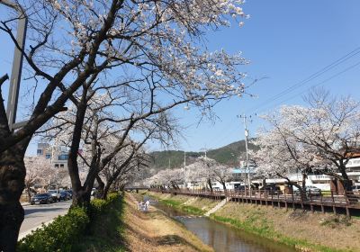 Mungyeong-si