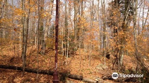 Haliburton Sculpture Forest