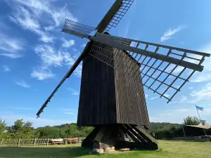 Bockwindmühle Pudagla