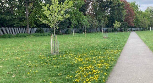 Victoria Recreation Ground