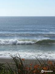 Gleneden Beach State Recreation Site