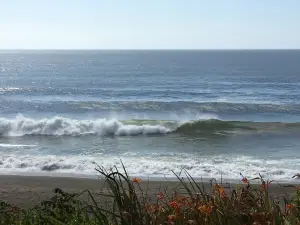 Gleneden Beach State Recreation Site