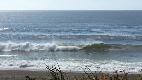 Gleneden Beach State Recreation Site