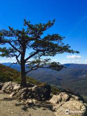 Raven's Roost Overlook