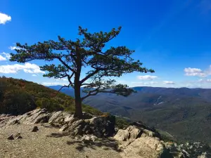 Ravens Roost Overlook