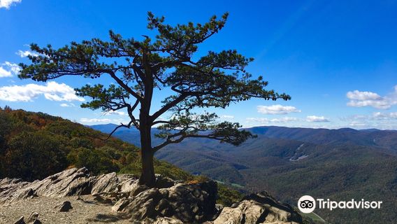 Ravens Roost Overlook