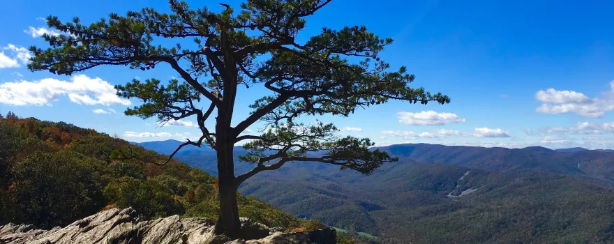 Ravens Roost Overlook