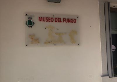 Museo Del Fungo