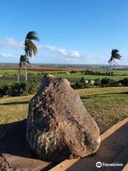 The Hummock Lookout