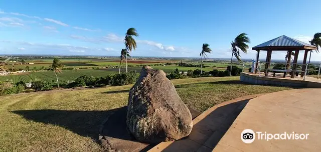 The Hummock Lookout