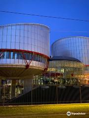 歐州人権裁判所