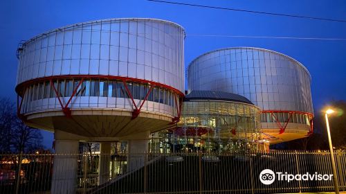 European Court of Human Rights