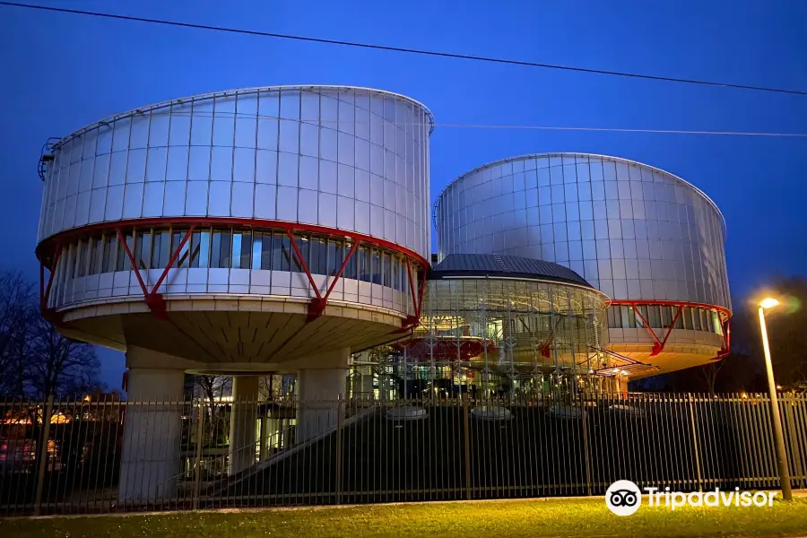 Cour européenne des droits de l'Homme