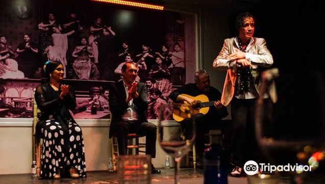 Tablao Flamenco La Cantaora コンサートチケット＋夕食（一般チケット）