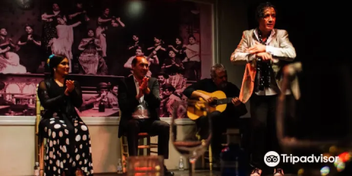Tablao Flamenco La Cantaora