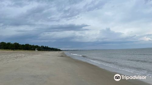 Ferry Beach State Park