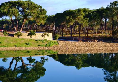 Quinta do Brejinho