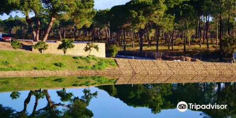 Quinta do Brejinho