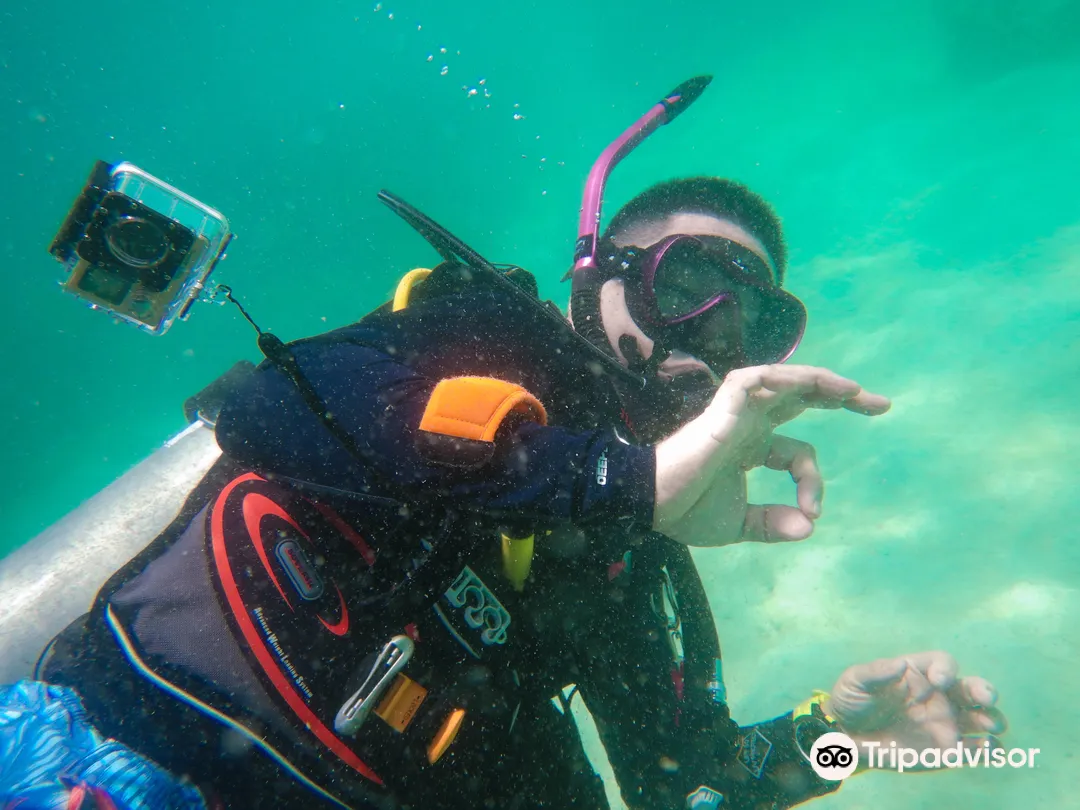 3_Seafari Dive Center