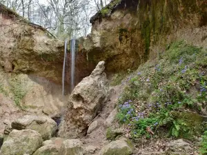 Clark Creek Natural Area