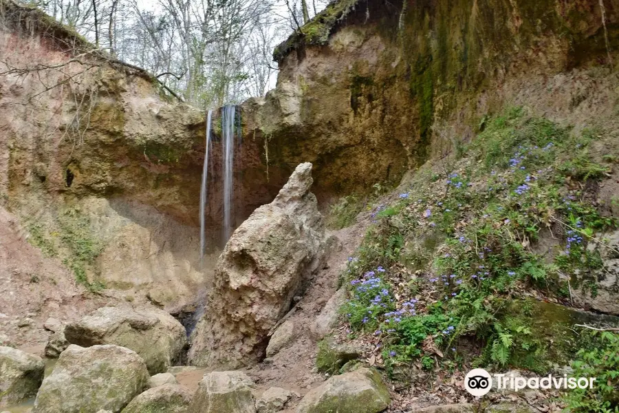 Clark Creek Natural Area