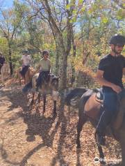 Domaine Equestre des Bastides