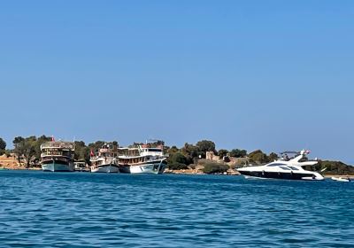 Dalyan Nehri