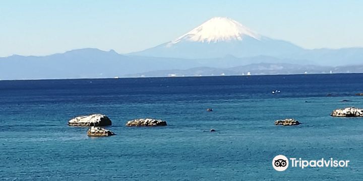 Kanagawa Kenritsu Hayama Park