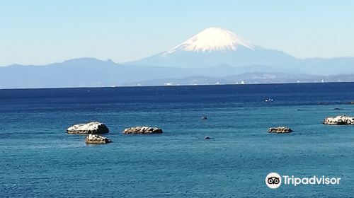 神奈川県立葉山公園