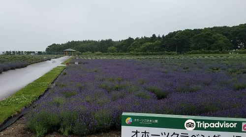 北海道立オホーツク流氷公園