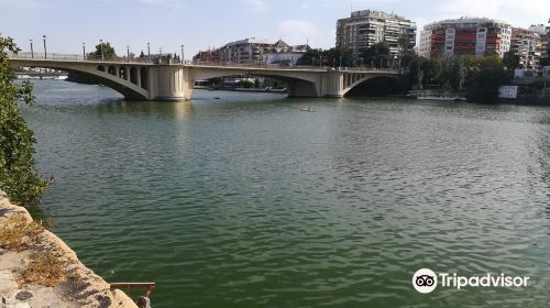 Puente de San Telmo