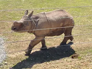 Southland Safari Guided Tours