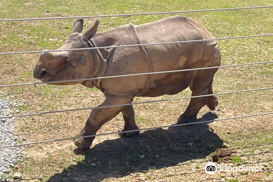 Southland Safari Guided Tours