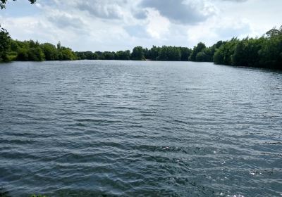 Whitley Nature Reserve