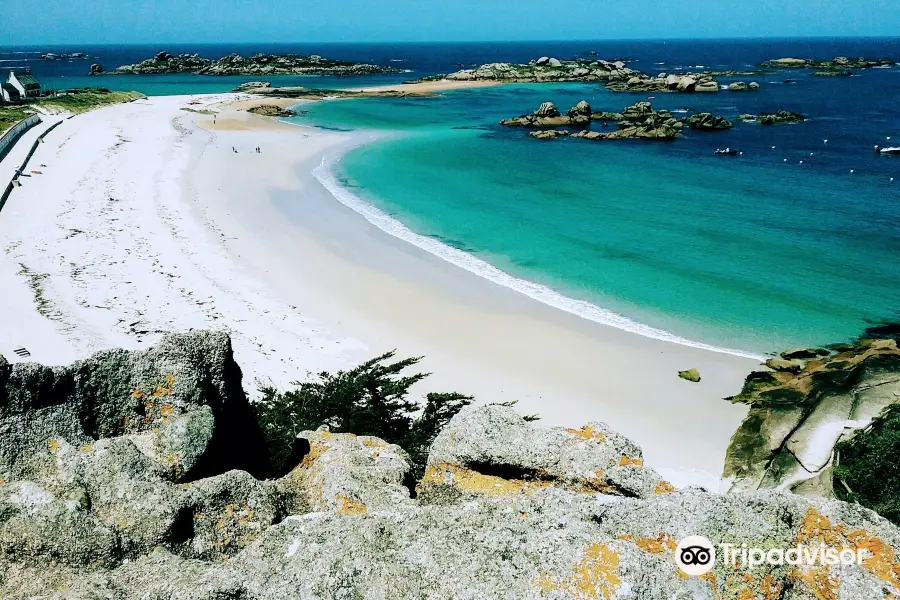 Plage de Trégastel