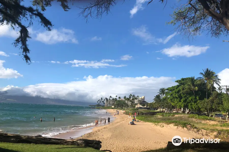 Kamaole Beach Park II