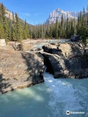 Natural Bridge Lower Falls