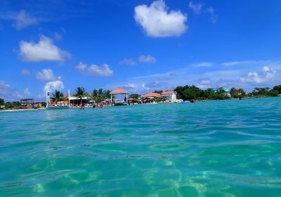 Cayo Ambergris