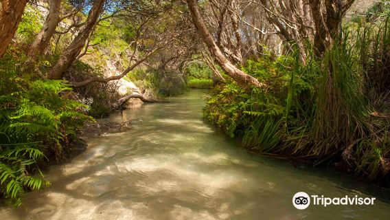 Fraser Island