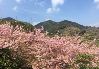 男女神社