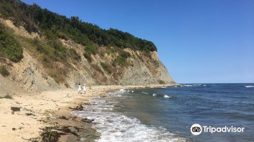 Irakli Beach