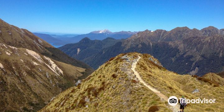 Kepler Track