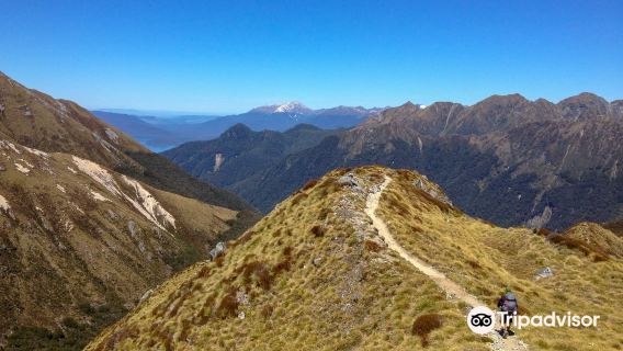 Kepler Track