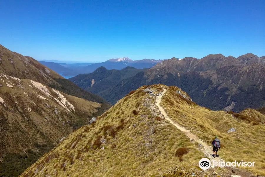 Kepler Track