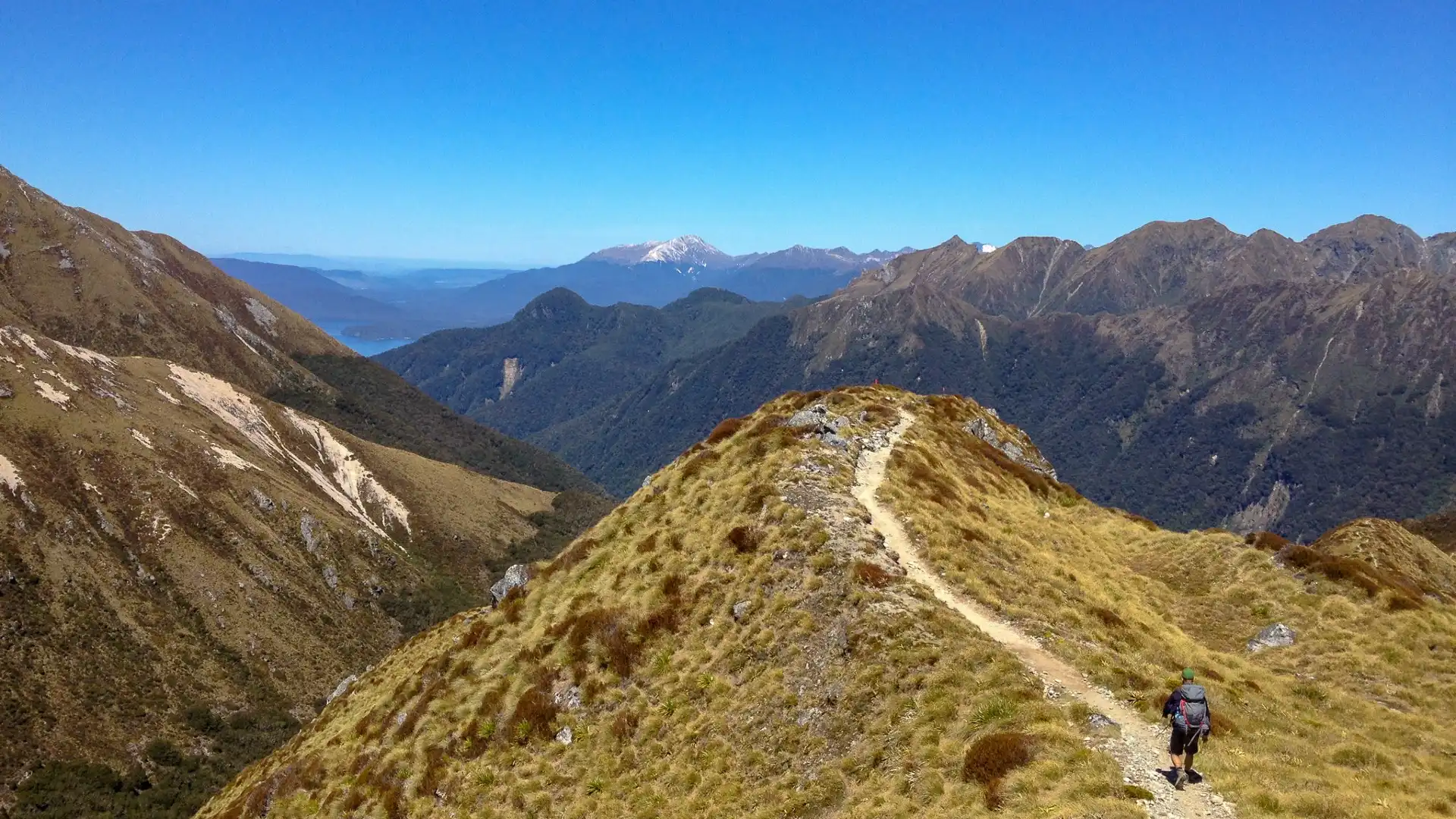 Hotels near Kepler Track